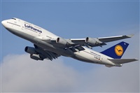 Miguel Alia - Noisy Spotters. Click to see full size photo