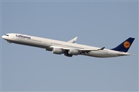 Miguel Alia - Noisy Spotters. Click to see full size photo