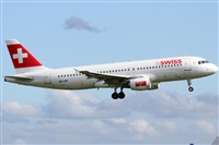 Rubn Gil - Noisy Spotters. Click to see full size photo