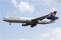 Miguel Alia - Noisy Spotters. Click to see full size photo