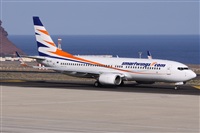 ©Alfonso Solís - Asociación Canary Islands Spotting. Click to see full size photo ©Alfonso Solís - Asociación Canary Islands Spotting. Click to see full size photo