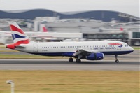 Miguel A. gueda Rguez.  (CANARY ISLANDS SPOTTING). Haz click para ampliar