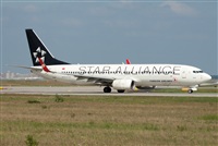 Miguel Alia - Noisy Spotters. Click to see full size photo