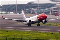 Javier de la Cruz - CANARY ISLANDS SPOTTING. Haz click para ampliar