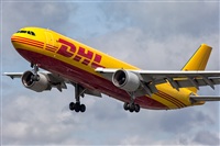 Javier de la Cruz - CANARY ISLANDS SPOTTING. Click to see full size photo