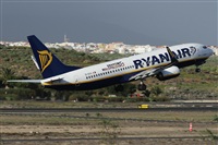 ©Alfonso Solís - Asociación Canary Islands Spotting. Click to see full size photo ©Alfonso Solís - Asociación Canary Islands Spotting. Click to see full size photo