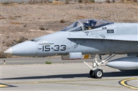 Florencio Martn Melin - Lanzarote Spotters. Click to see full size photo