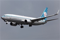 Miguel Alia - Noisy Spotters. Click to see full size photo