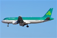 Saimon J Rodriguez   -   Canary Islands Spotting. Click to see full size photo