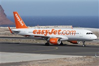 ©Alfonso Solís - Asociación Canary Islands Spotting. Click to see full size photo ©Alfonso Solís - Asociación Canary Islands Spotting. Click to see full size photo