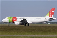 Miguel A. gueda Rguez.  (CANARY ISLANDS SPOTTING). Click to see full size photo