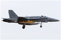 David Manuel Tobarra Ruiz - Spotters Murcia. Haz click para ampliar