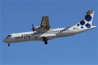 ©Alfonso Solís - Asociación Canary Islands Spotting. Click to see full size photo ©Alfonso Solís - Asociación Canary Islands Spotting. Click to see full size photo
