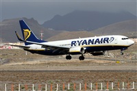Alfonso Sols - Asociacin Canary Islands Spotting. Click to see full size photo