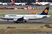 Alfonso Sols - Asociacin Canary Islands Spotting. Click to see full size photo