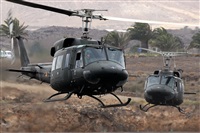 Adrin Alonso Lemes - Lanzarote Spotters. Haz click para ampliar