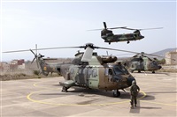 Fernando Martnez Garca -AeroSpotters Melilla-. Click to see full size photo