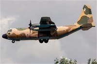 Antonio Pou Marti. Click to see full size photo