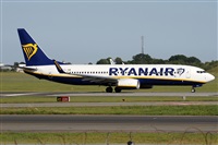 Alfonso Sols - Asociacin Canary Islands Spotting. Haz click para ampliar