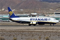 Alfonso Sols - Asociacin Canary Islands Spotting. Click to see full size photo