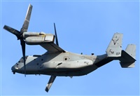 ©Alejandro H.L - Gran Canaria Spotters. Click to see full size photo ©Alejandro H.L - Gran Canaria Spotters. Click to see full size photo