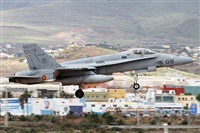 Alfonso Sols - Asociacin Canary Islands Spotting. Haz click para ampliar