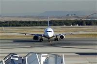 Nacho Rodriguez - Canary Islands Spotting. Haz click para ampliar