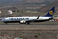 ©Alfonso Solís - Asociación Canary Islands Spotting. Click to see full size photo ©Alfonso Solís - Asociación Canary Islands Spotting. Click to see full size photo