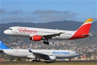 Miguel A. gueda Rguez.  (CANARY ISLANDS SPOTTING). Haz click para ampliar