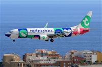 Miguel A. gueda Rguez.  (CANARY ISLANDS SPOTTING). Click to see full size photo