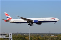 Miguel A. gueda Rguez.  (CANARY ISLANDS SPOTTING). Click to see full size photo