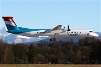 La Roche Spotters. Click to see full size photo
