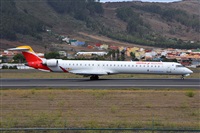 Miguel A. gueda Rguez.  (CANARY ISLANDS SPOTTING). Click to see full size photo