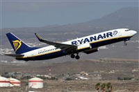 Alfonso Sols - Asociacin Canary Islands Spotting. Haz click para ampliar