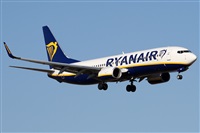 Alfonso Sols - Asociacin Canary Islands Spotting. Haz click para ampliar