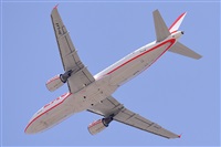 Miguel A. gueda Rguez.  (CANARY ISLANDS SPOTTING). Click to see full size photo