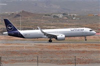Miguel A. gueda Rguez.  (CANARY ISLANDS SPOTTING). Haz click para ampliar