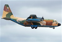 ©Alejandro H.L - Gran Canaria Spotters. Click to see full size photo ©Alejandro H.L - Gran Canaria Spotters. Click to see full size photo