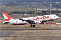 Miguel A. gueda Rguez.  (CANARY ISLANDS SPOTTING). Click to see full size photo