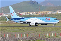 Miguel A. gueda Rguez.  (CANARY ISLANDS SPOTTING). Click to see full size photo