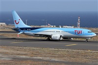 ©Alfonso Solís - Asociación Canary Islands Spotting. Click to see full size photo ©Alfonso Solís - Asociación Canary Islands Spotting. Click to see full size photo
