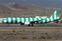 Alfonso Sols - Asociacin Canary Islands Spotting. Click to see full size photo