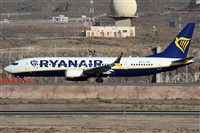 ©Alfonso Solís - Asociación Canary Islands Spotting. Click to see full size photo ©Alfonso Solís - Asociación Canary Islands Spotting. Click to see full size photo