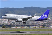 Miguel A. gueda Rguez.  (CANARY ISLANDS SPOTTING). Click to see full size photo