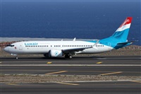 Alfonso Sols - Asociacin Canary Islands Spotting. Click to see full size photo