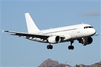 Alfonso Sols - Asociacin Canary Islands Spotting. Click to see full size photo