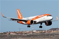 �Alfonso Sol�s - Asociaci�n Canary Islands Spotting. Click to see full size photo