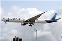 ©Alfonso Solís - Asociación Canary Islands Spotting. Click to see full size photo ©Alfonso Solís - Asociación Canary Islands Spotting. Click to see full size photo