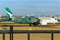 �Miguel A. �gueda Rguez.  (CANARY ISLANDS SPOTTING). Click to see full size photo