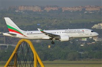 �Miguel A. �gueda Rguez.  (CANARY ISLANDS SPOTTING). Click to see full size photo